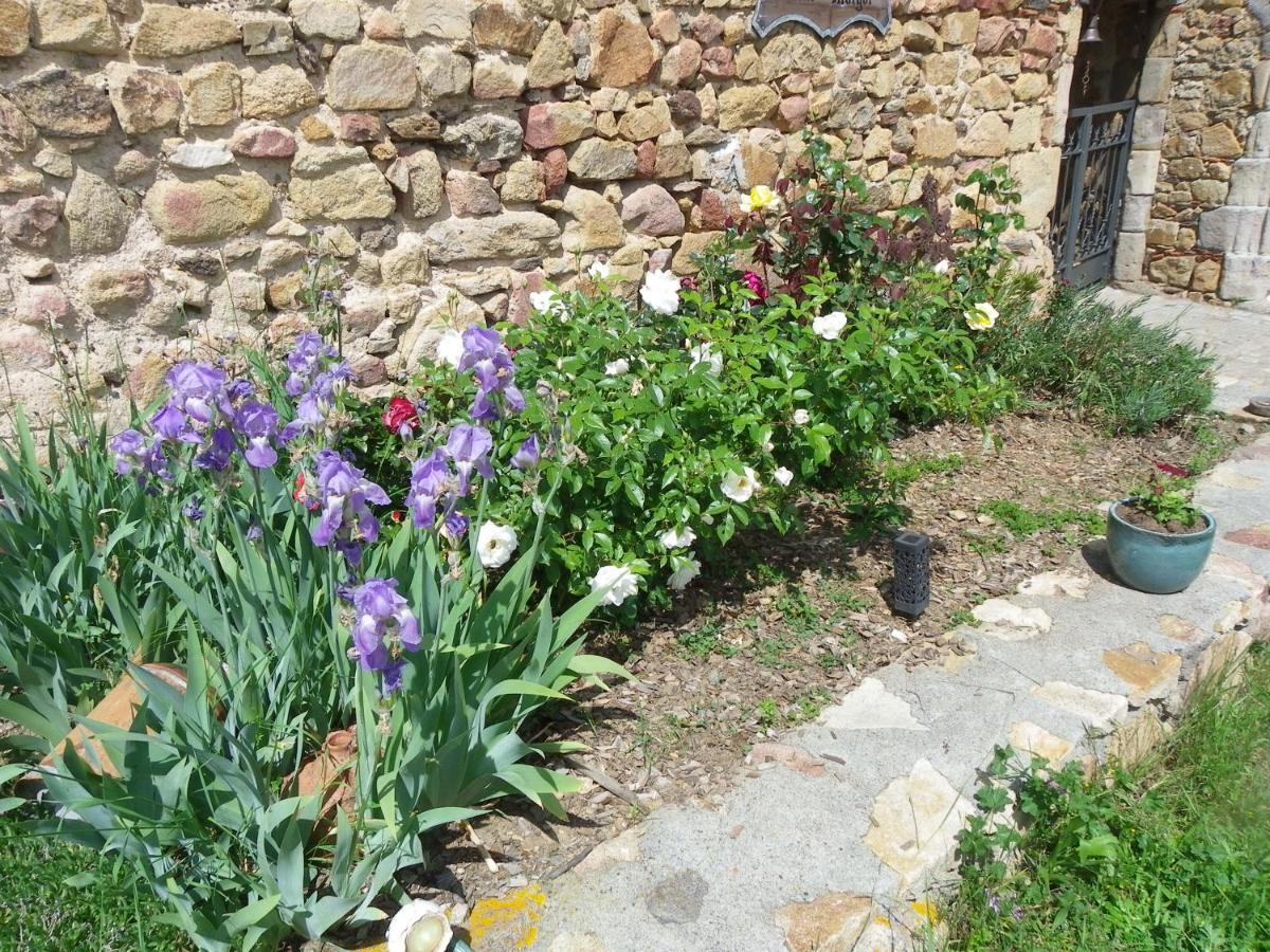 Bed and Breakfast le Donjon de la Reine Margot Beaumont  Exterior foto